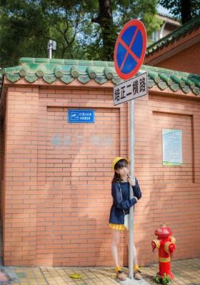 我们来了第一季免费观看完整版_正片免费观看