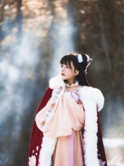 会长是女仆大人观看全集_1080P在线观看完整版